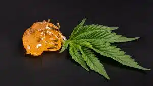 Read more about the article What Is Budder? A Complete Guide to Budder Wax, Concentrates & How to Use Them