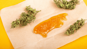 Read more about the article BHO Vs Solventless Extraction: Which is right for your lab?