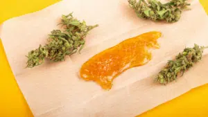 Read more about the article BHO Vs Solventless Extraction: Which is right for your lab?