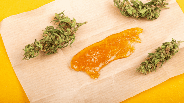 Read more about the article BHO Vs Solventless Extraction: Which is right for your lab?