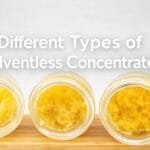 Different Types of Solventless Concentrates