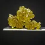 Is CO₂ Extraction Really Solventless?