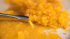Read more about the article Solventless Cannabis Extraction Methods Explained