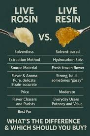 Solventless Live Rosin vs Solvent-Based Concentrates