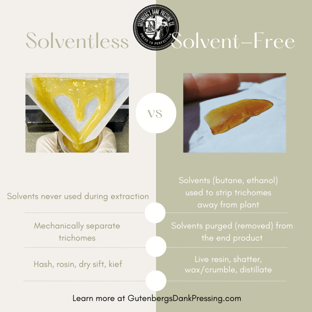 Solventless vs. Solvent-Based Cannabis Extraction
