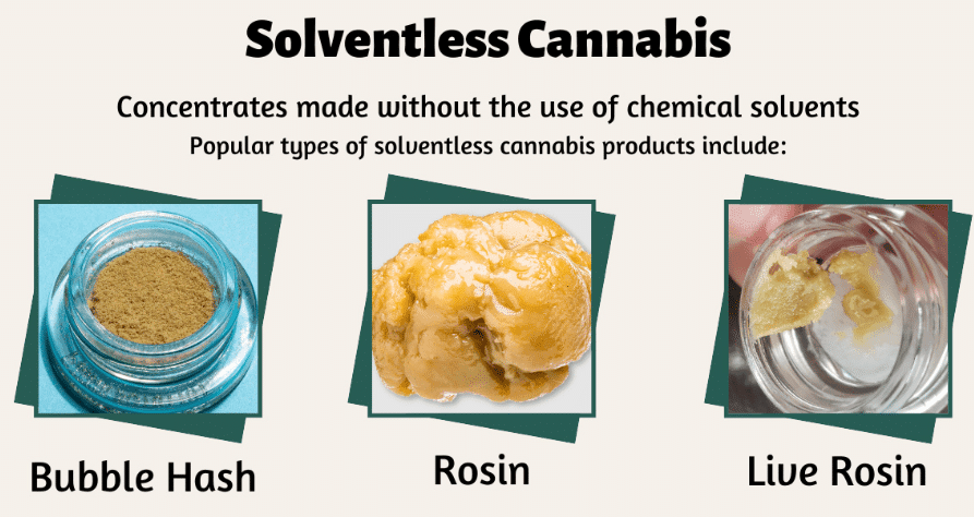 What Is Solventless Cannabis Extraction?