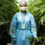 Safety in BHO Extraction