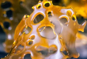Read more about the article BHO Extraction Process Explained