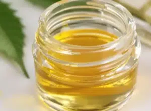 Read more about the article Types of Gas for BHO Extraction