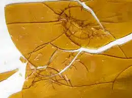 1. Shatter