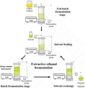 How Ethanol Functions in the Extraction Process