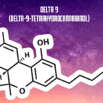 How Is Delta 9 Made? Complete Manufacturing Breakdown