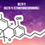 How Is Delta 9 Made? Complete Manufacturing Breakdown