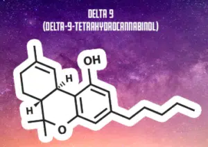 Read more about the article How Is Delta 9 Made? Complete Manufacturing Breakdown