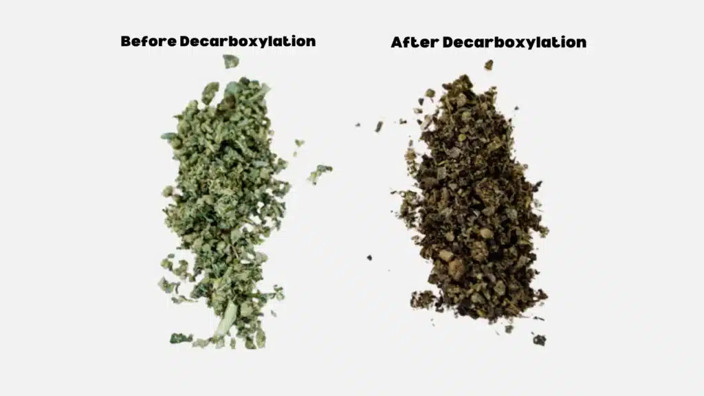 You are currently viewing How To Decarboxylate Cannabis