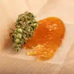 Live Badder vs Live Rosin: A Complete Guide to Extraction, Flavor, and Effects