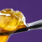 What are Cannabis Concentrates? Types, Effects, Uses, and Safety Explained