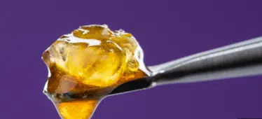 Read more about the article What are Cannabis Concentrates? Types, Effects, Uses, and Safety Explained