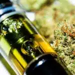 CO2 vs Distillate: What’s the Difference & Which Is Better? (Complete Guide)