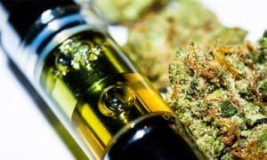 Read more about the article CO2 vs Distillate: What’s the Difference & Which Is Better? (Complete Guide)