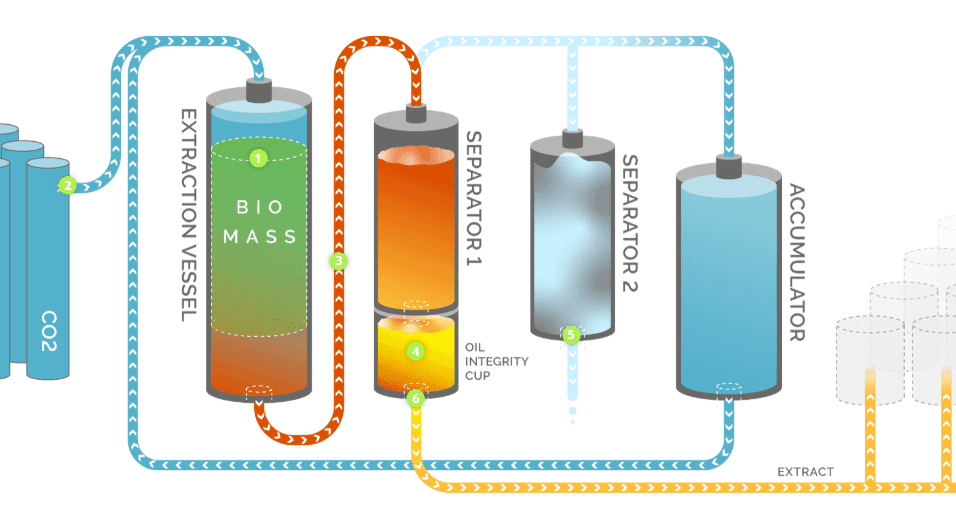How Does CO2 Extraction Work