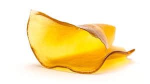 Nug Run vs. Trim Run Concentrates