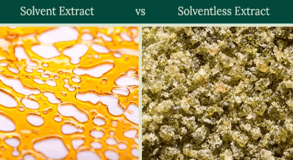 Solvent-Based vs. Solventless Extraction