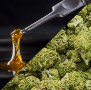 What Are Cannabinoids and Why Do They Matter?
