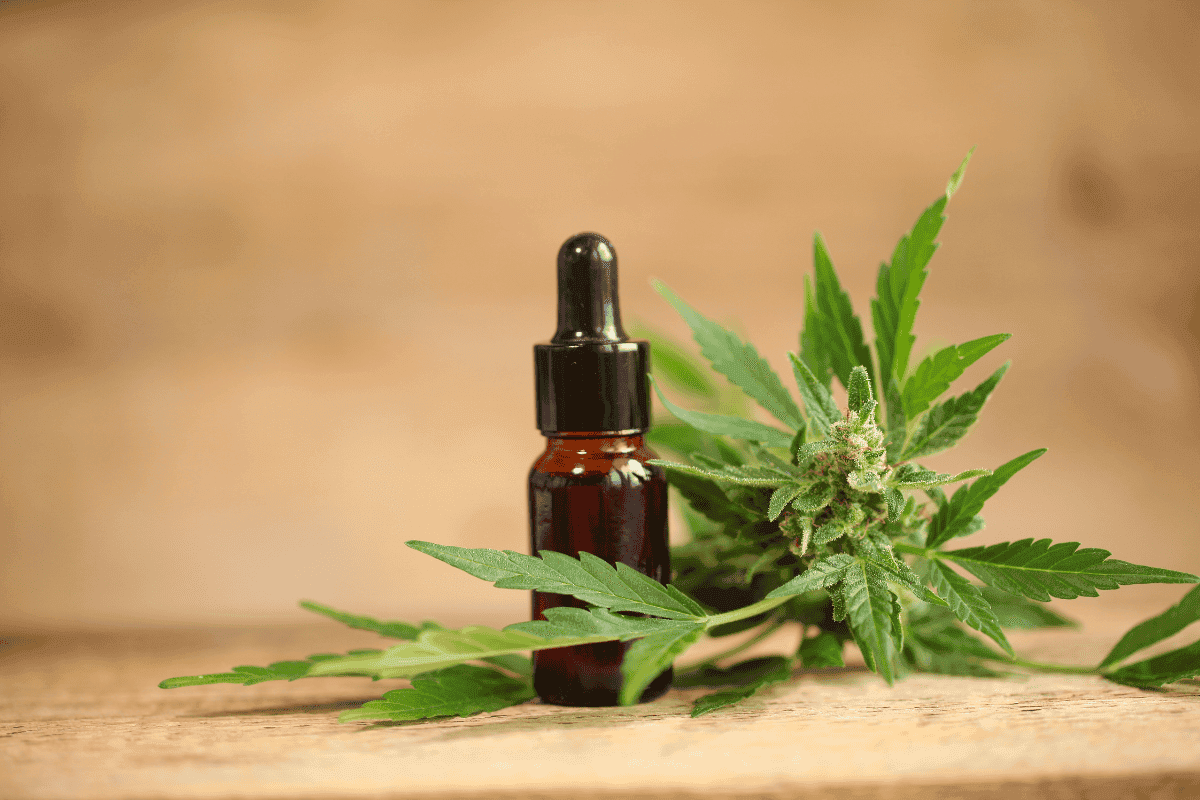 You are currently viewing What Are The Best Cannabis Oil Extraction Methods? A Complete Guide (2026)