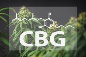 What Is CBG (Cannabigerol)?