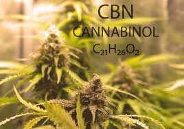 What Is CBN Cannabinol