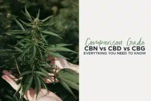 Read more about the article CBN vs CBD vs CBG: What’s the Difference and Which One Do You Actually Need?
