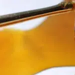 Distillate vs Extract: What’s the Real Difference and Which One Should You Choose?