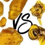Rosin vs Shatter: What’s the Difference