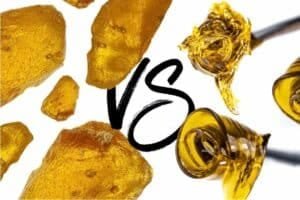 Read more about the article Rosin vs Shatter: What’s the Difference