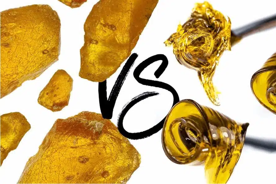 Read more about the article Rosin vs Shatter: What’s the Difference