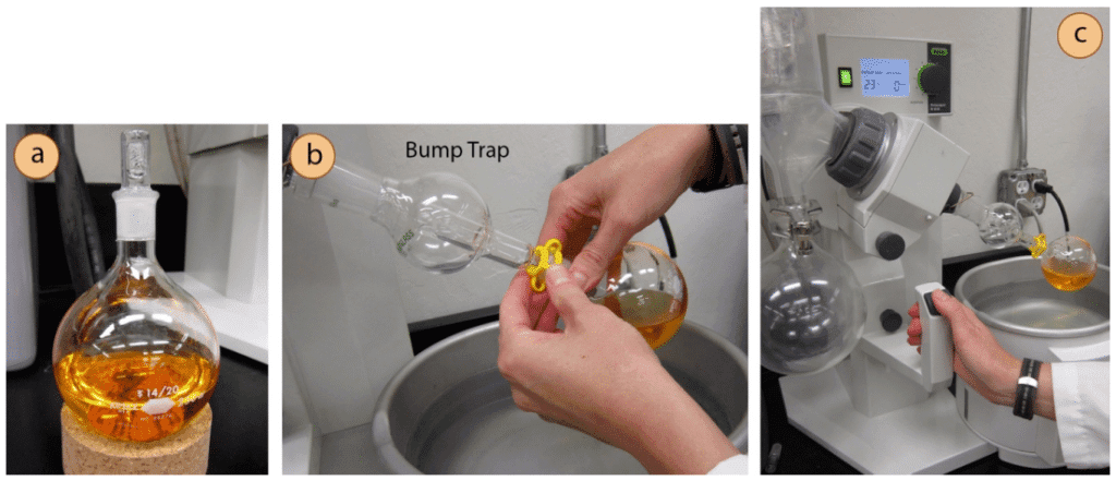 Step-by-Step Rotovap Extraction Method