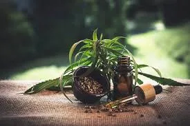 What Are Cannabinoids?
