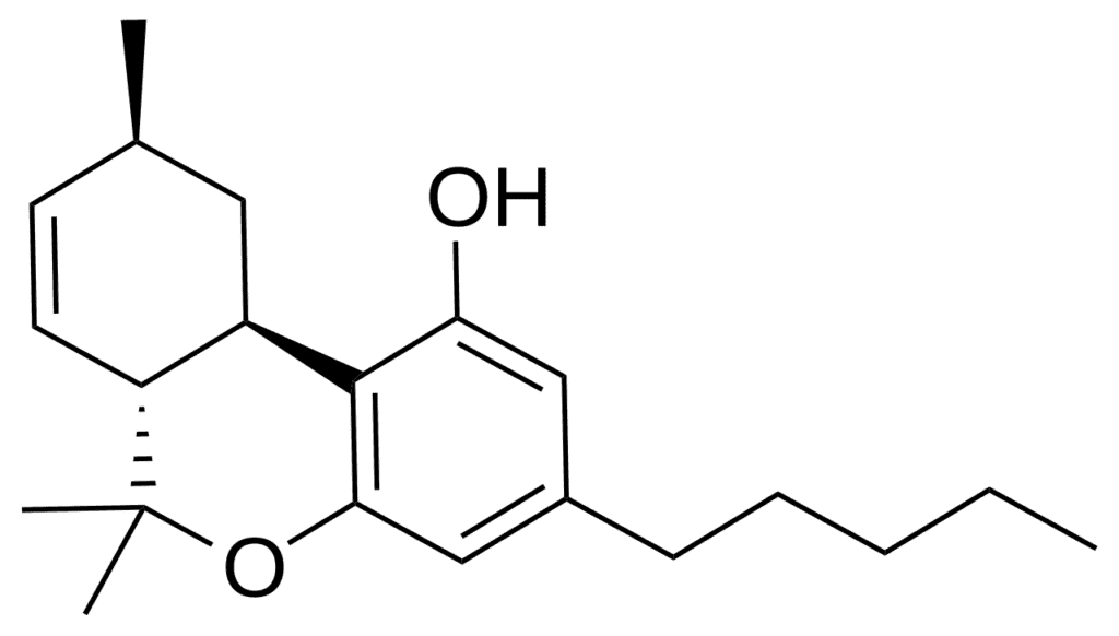 What Is Delta 7 THC?