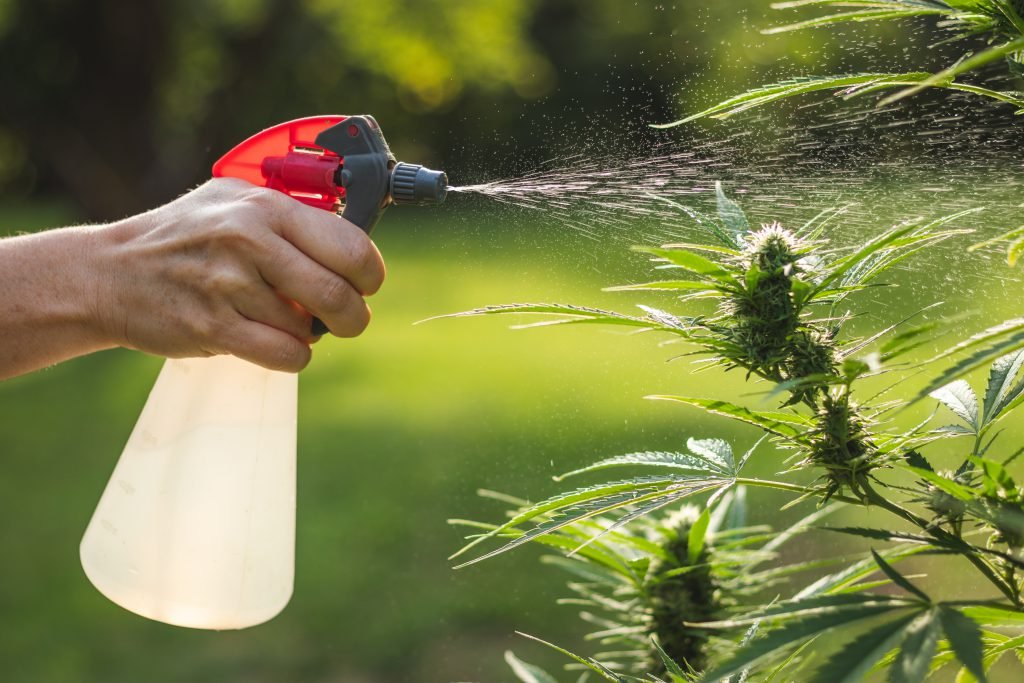 pesticide on leaves - spectralabsci.com