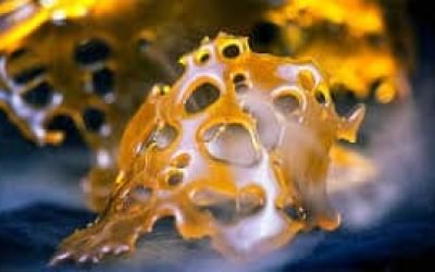 Advanced BHO Extraction Techniques