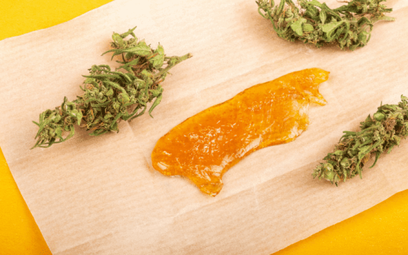 BHO Vs Solventless Extraction