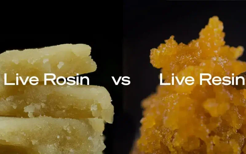 rosin vs resin