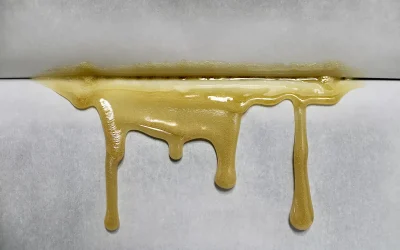 Bubble Hash vs Rosin