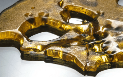 Butane vs. Ethanol Extraction: The Complete Guide