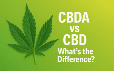 CBDA vs CBD Difference