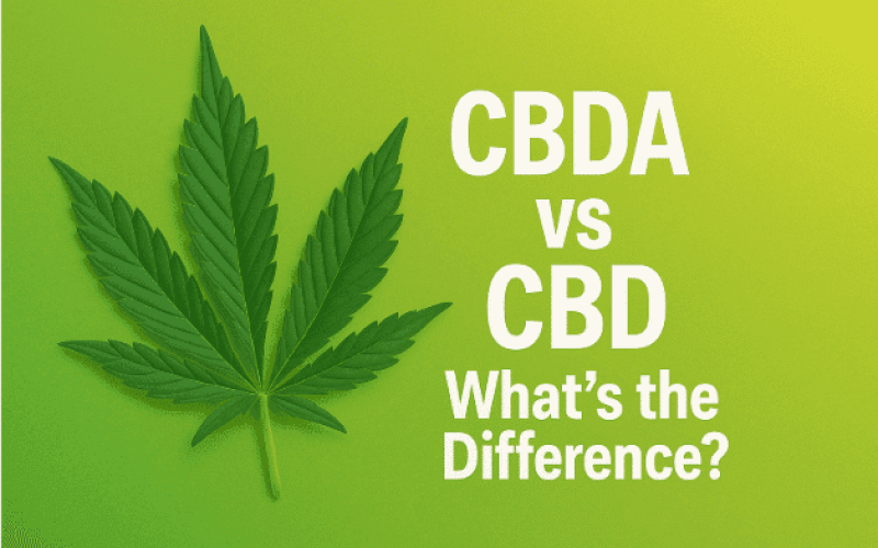 CBDA vs CBD Difference