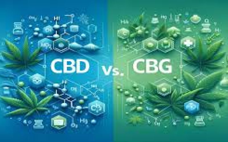 CBG vs CBD: What is the difference?
