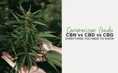CBN vs CBD vs CBG