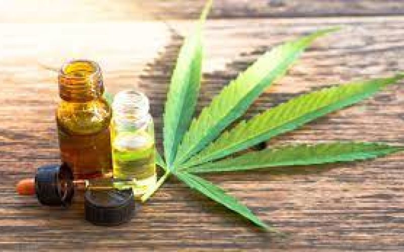 Cannabinoids 101: An In-Depth Guide to Types and Their Effects